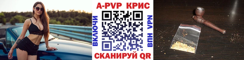 блэк спрут   Сураж  Альфа ПВП СК КРИС 