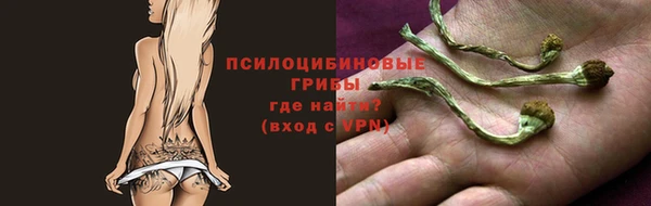 гашик Лихославль
