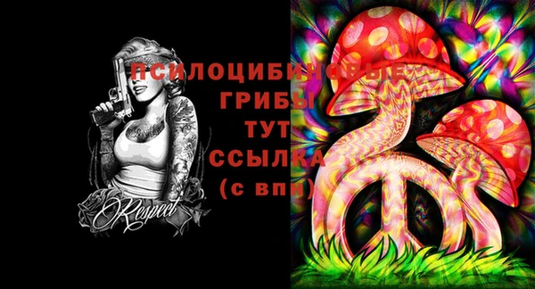 СК Ладушкин