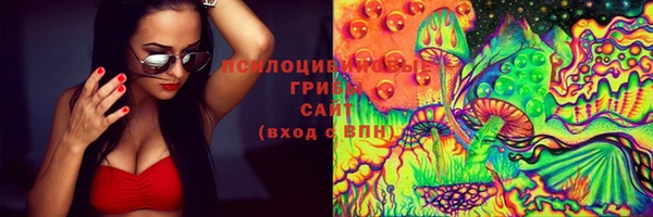 гашик Лихославль