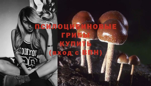 трава Майский
