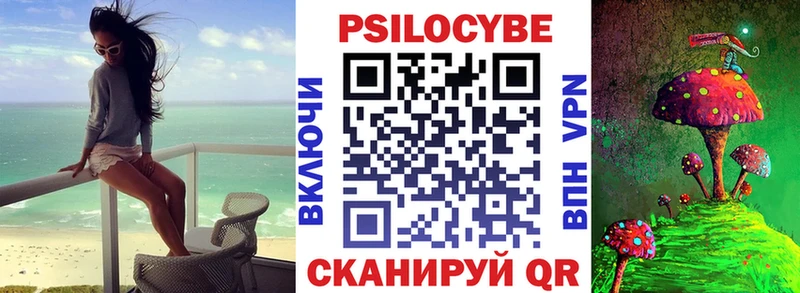 Псилоцибиновые грибы мицелий  Сураж 