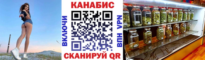 где продают   Сураж  Канабис гибрид 